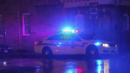 police-car-60.gif