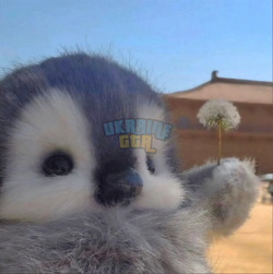 1783628628787.png