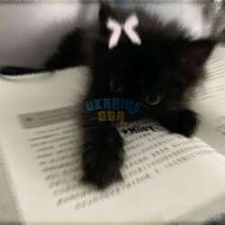 IMG_9865.jpeg