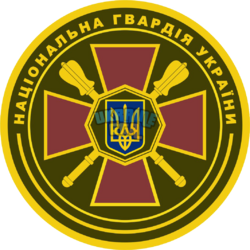 Нарукавний_знак_ГУ_НГУ (1).png