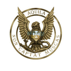 1784487993163.png