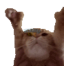 1784885430864.png