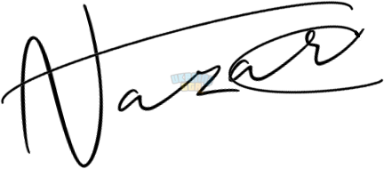 OnlineSignatures.net-984-Nazar Vishnevskiy.png