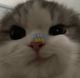 1785696565603.png