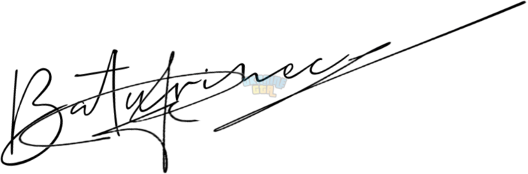 OnlineSignatures.net-124-Nazar Baturinec .png