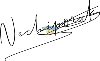 OnlineSignatures.net-796-Kostya Nechiporuk.png