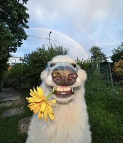 IMG_9805.jpeg