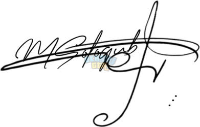 OnlineSignatures.net-158-Matviy Sologub .png