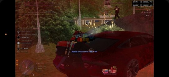 IMG_1928.jpeg