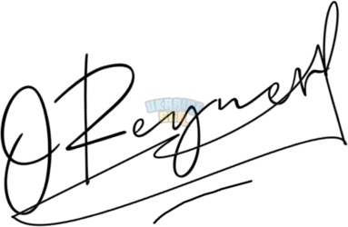 OnlineSignatures.net-256-Oleg Reyner.png