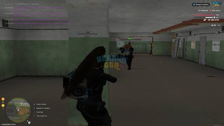 IMG_3976.jpeg