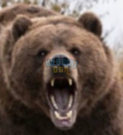 1787095914757.png