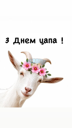 47DE8378-D6B0-4D5A-96B9-580B5D671E5F.jpeg