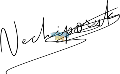 OnlineSignatures.net-796-Kostya Nechiporuk.png
