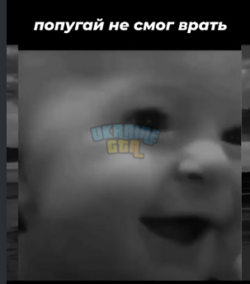 1788850957866.png