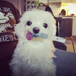 IMG_7058.jpeg
