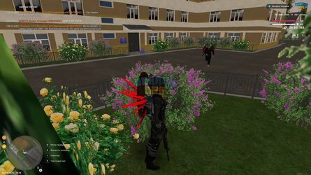IMG_0104.jpeg