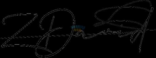 OnlineSignatures.net-256-David Zoloto Ivanovich.jpg
