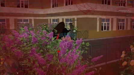 IMG_4517.jpeg
