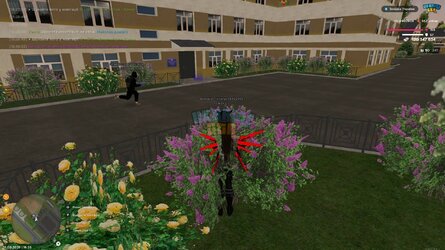 IMG_4518.jpeg