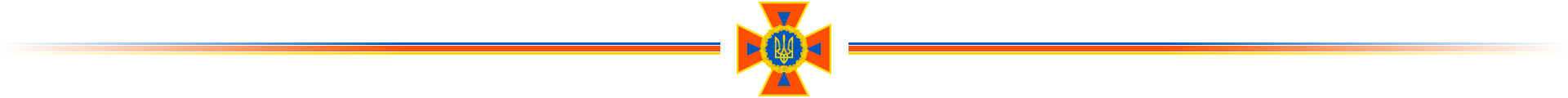 dsns_banner_big.png