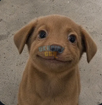 1792766745286.png