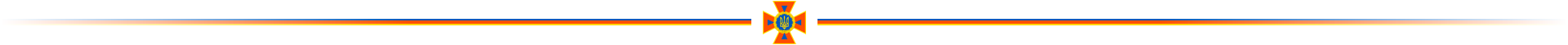 dsns_banner.png