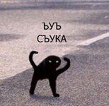 1678814023790.jpeg
