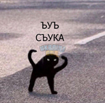 1680702886438.png