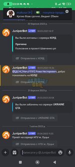 Screenshot_2023-04-24-23-59-18-241_com.discord.jpg