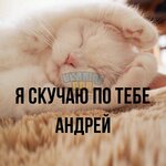картинка-Андрей-Я-скучаю-по-тебе-888.jpg