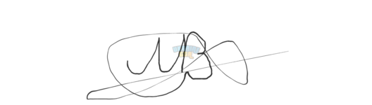 my_signature_cocosign.png