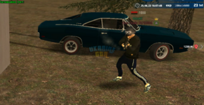Нью.png