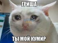 images.jpg