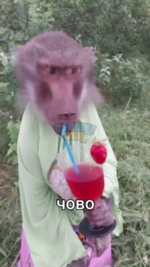 1690658838404.png