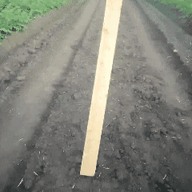 Голова Спілки Скамерів України