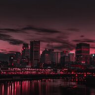 Террі Фрост