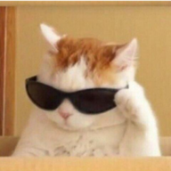 Давид Котик