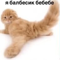 Гомер Сімпсон