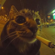 Богдан Джоо