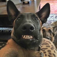 Дмитро Кортік