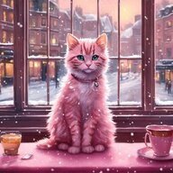 Роксолана Фрайт