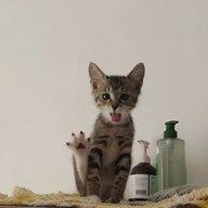 Bаня Cвага