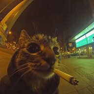 Остін Ріверс
