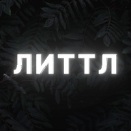 Макс Літтл
