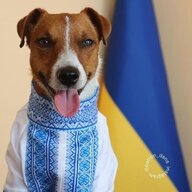 PlexPI | Максим Ужгородський