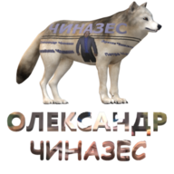 Олександр Кізяка