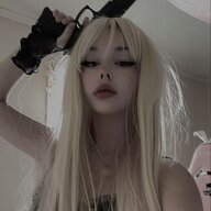 rolexx