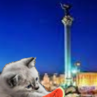 Діма Верич