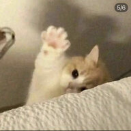 ijwtbhgf
